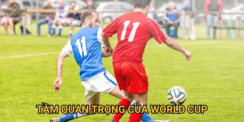Tại sao cược world cup lại là sự kiện lớn nhất tại Mclub? 2 Tầm quan trọng của World Cup