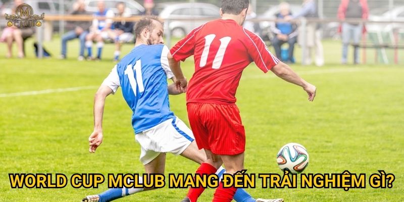 Tại sao cược world cup lại là sự kiện lớn nhất tại Mclub? 3 World cup Mclub mang đến trải nghiệm gì?